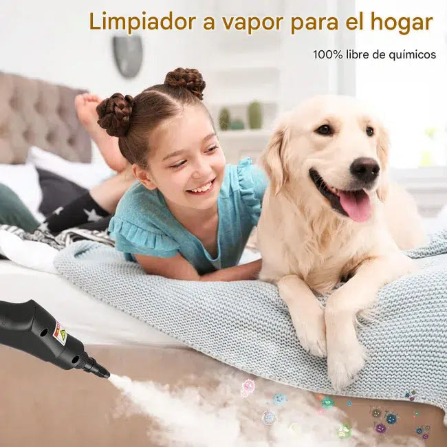Limpiador de vapor portátil